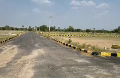Plots for sale Cholleru, Telangana