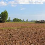 Required plot in attapur or huderguda between